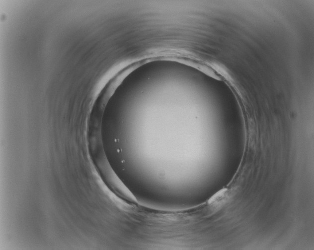 X0000063461438200601271553