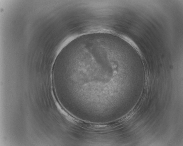 X0000063461439200601271553