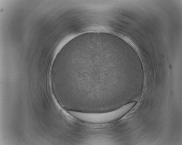 X0000063461440200601271553