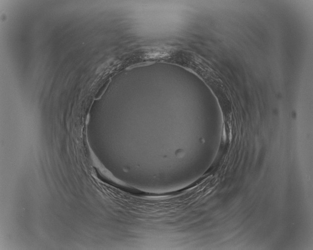 X0000063461441200601271552