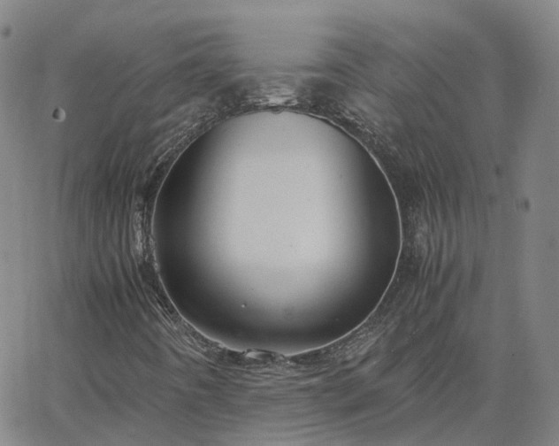 X0000063461442200601271552