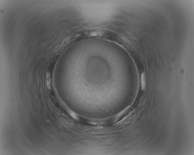 X0000063461443200601271552