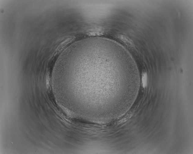 X0000063461444200601271552