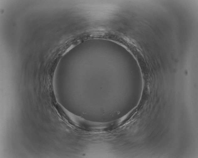 X0000063461445200601271552