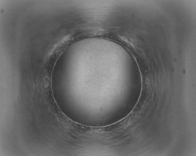 X0000063461447200601271552