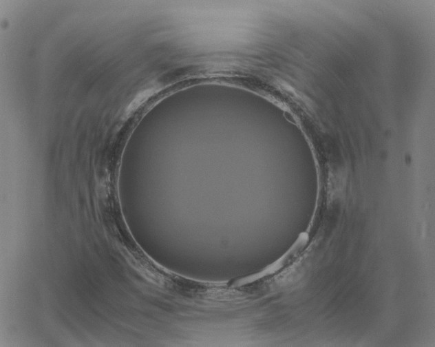 X0000063461449200601271552