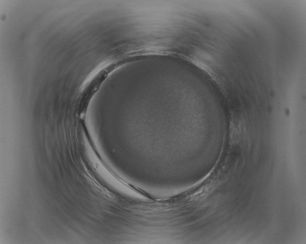 X0000063461450200601271552