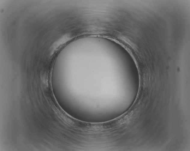 X0000063461451200601271552