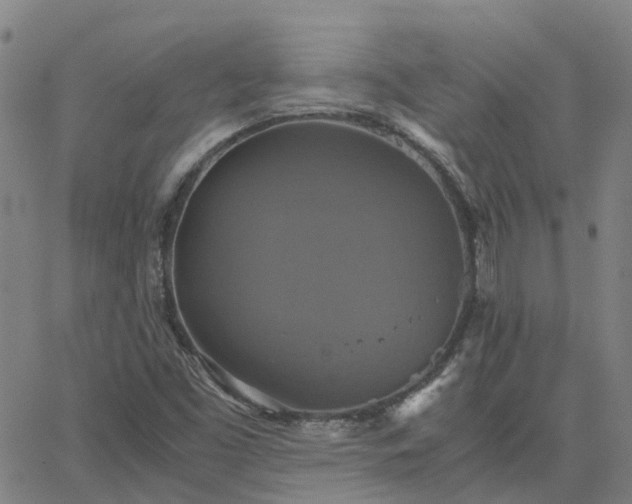 X0000063461453200601271552