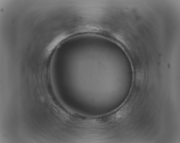 X0000063461455200601271552