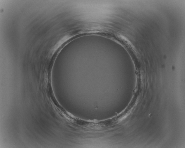 X0000063461457200601271552