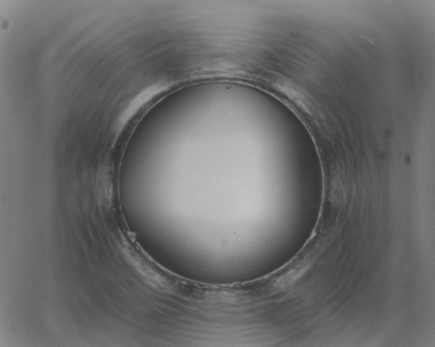 X0000063461458200601271552