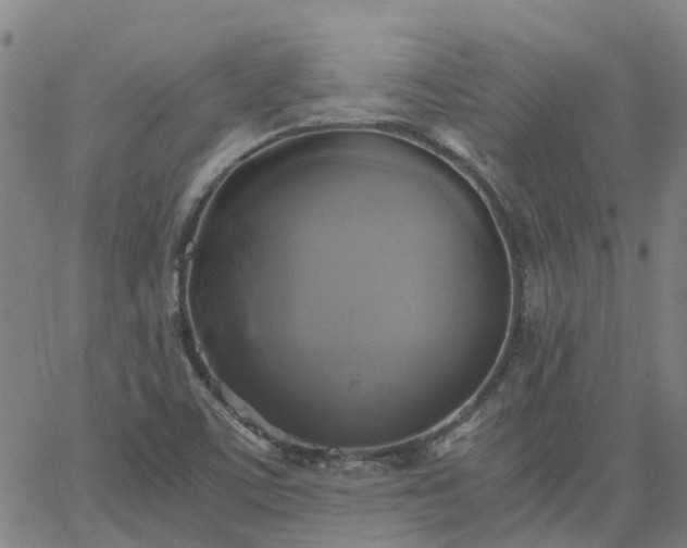 X0000063461459200601271552