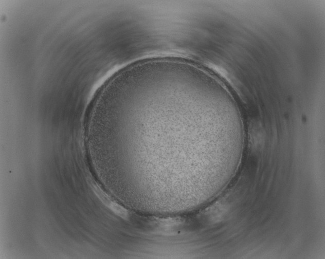 X0000063461460200601271552