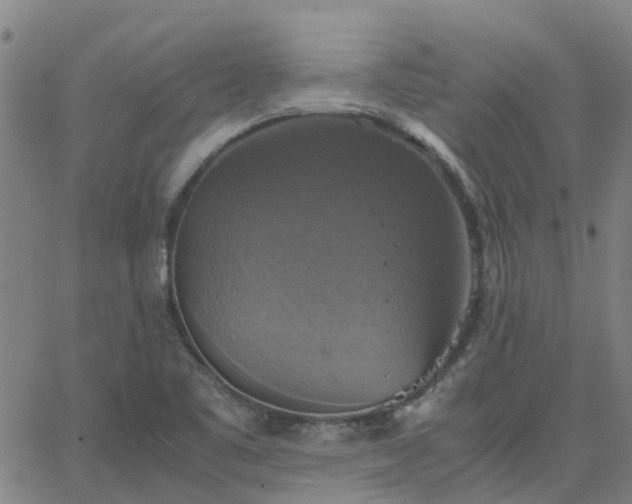 X0000063461461200601271552