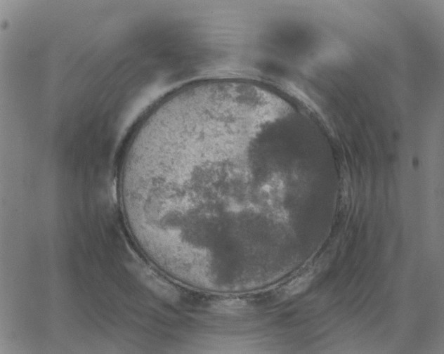 X0000063461462200601271552