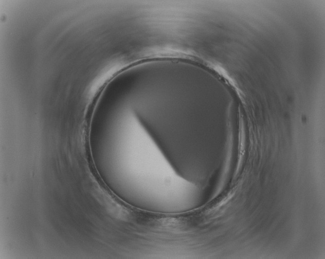 X0000063461463200601271552