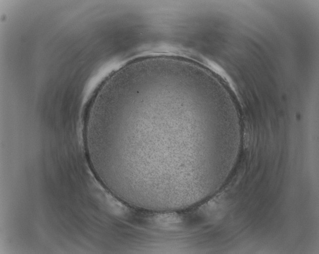 X0000063461464200601271552