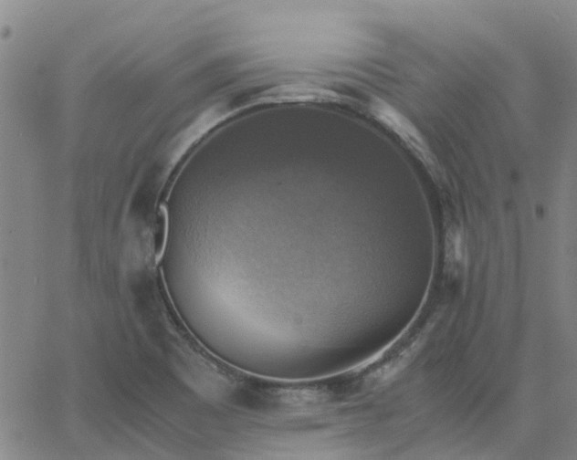 X0000063461465200601271552