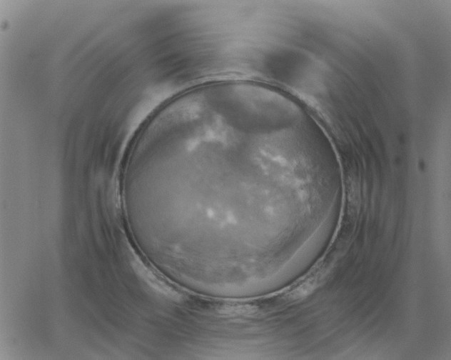 X0000063461466200601271552