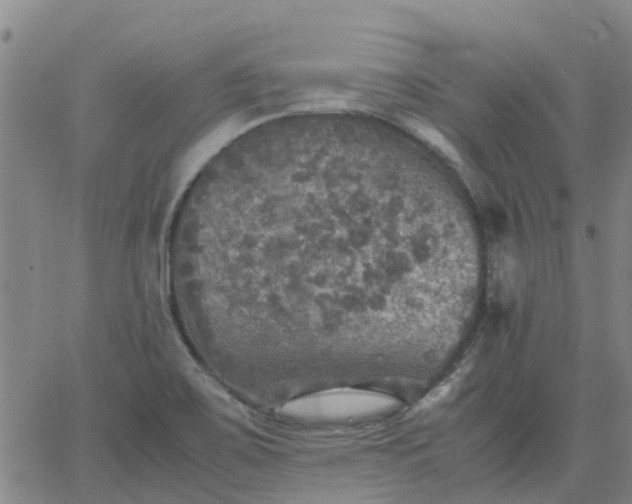 X0000063461467200601271552