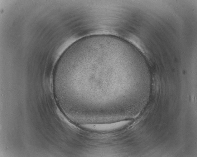 X0000063461468200601271552