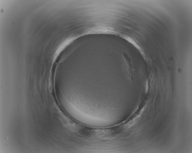 X0000063461469200601271552