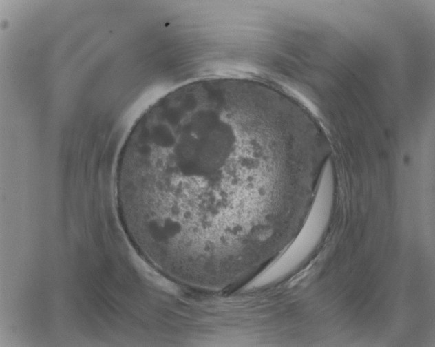 X0000063461471200601271552