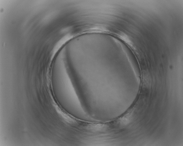 X0000063461474200601271552