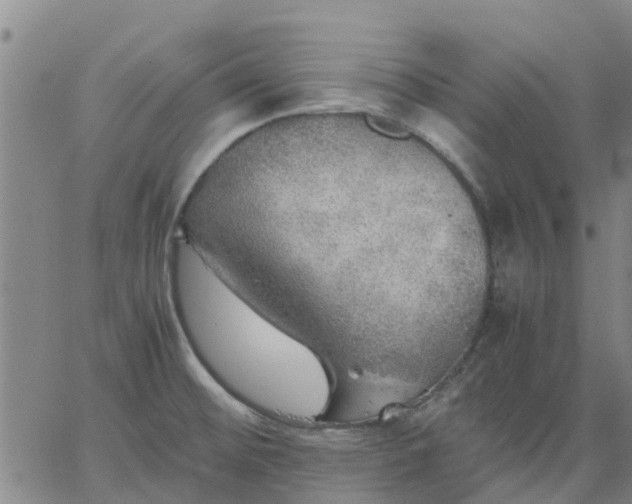 X0000063461476200601271552