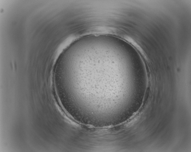 X0000063461477200601271552