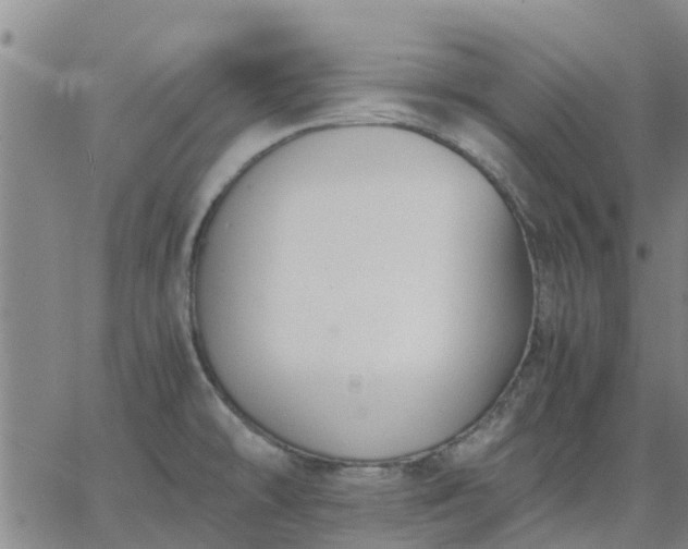 X0000063461478200601271552