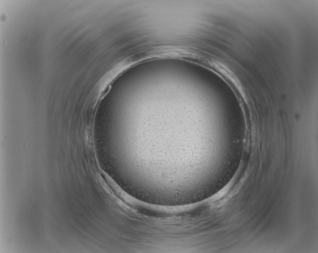 X0000063461481200601271552