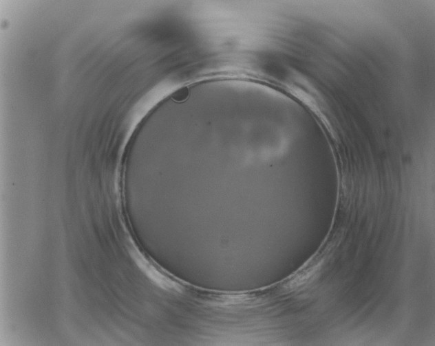 X0000063461482200601271552