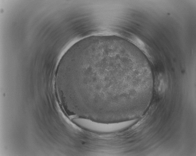 X0000063461484200601271552