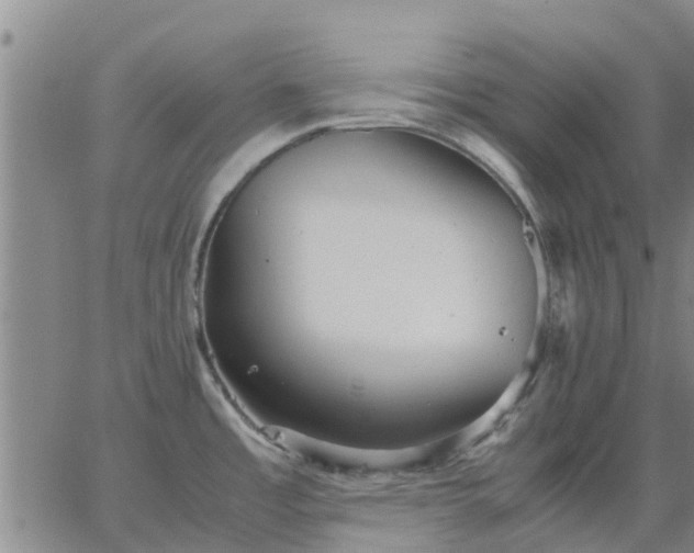 X0000063461485200601271552