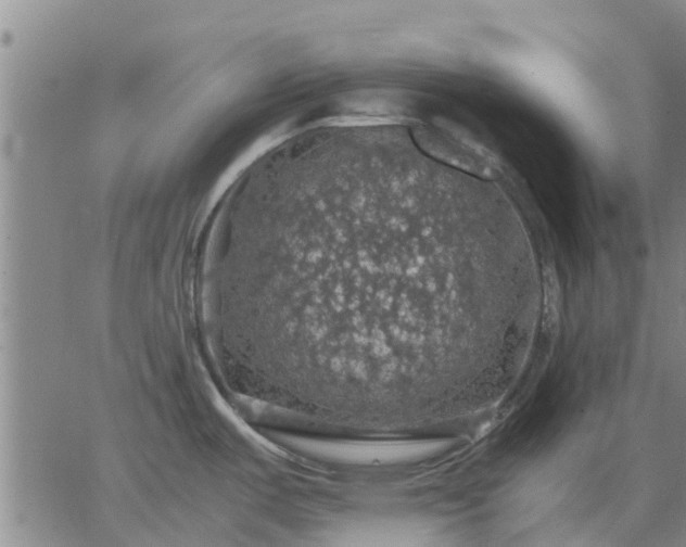 X0000063461487200601271552