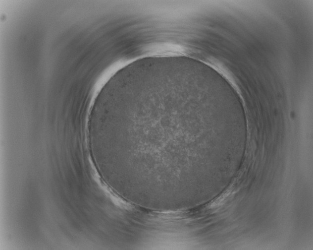 X0000063461488200601271552