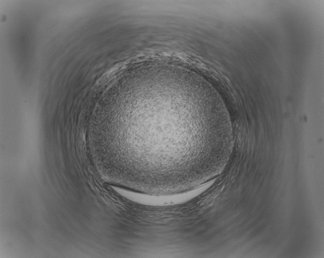 X0000063461489200601271551