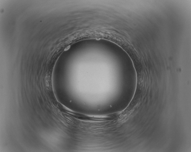 X0000063461490200601271551