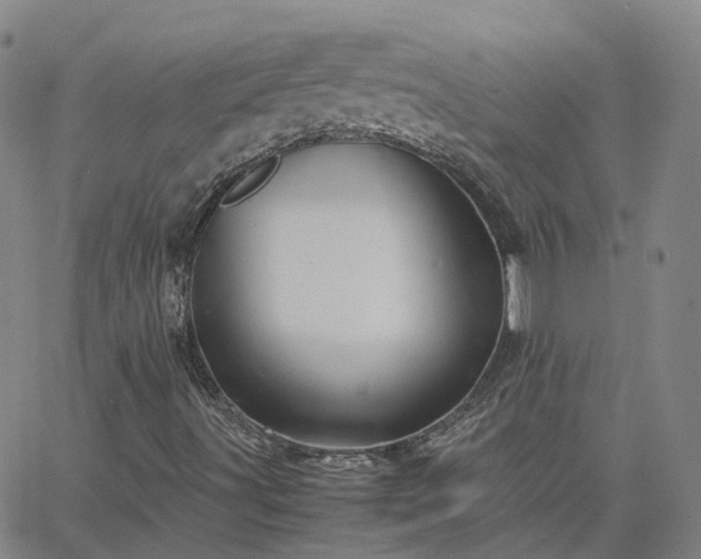 X0000063461491200601271551