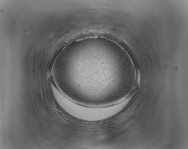 X0000063461492200601271551