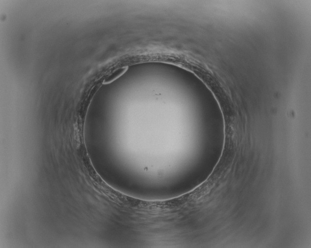 X0000063461493200601271551