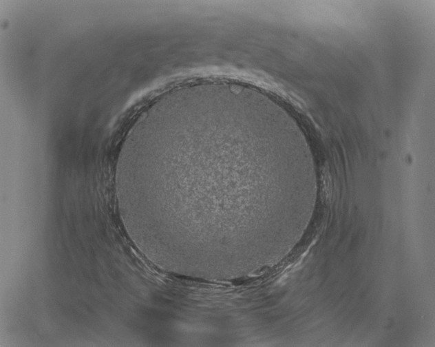 X0000063461494200601271551