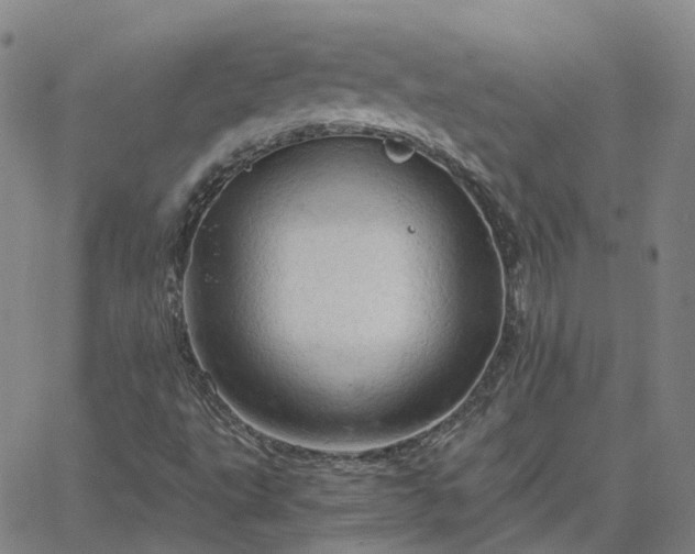 X0000063461495200601271551