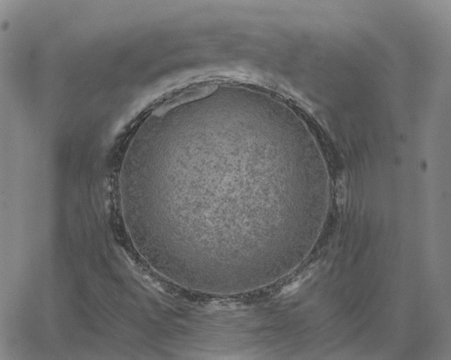 X0000063461496200601271551