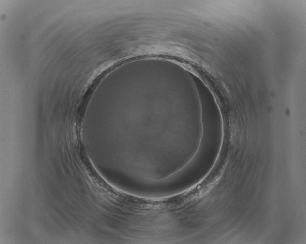 X0000063461497200601271551