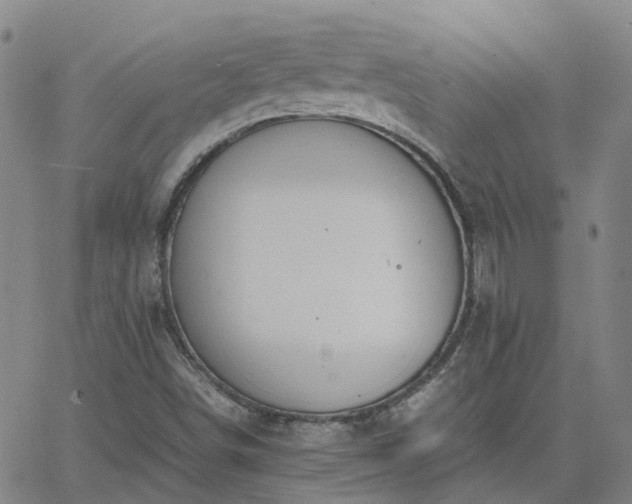 X0000063461498200601271551