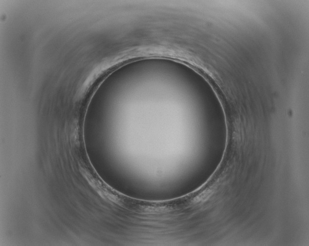 X0000063461499200601271551