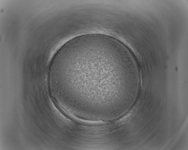 X0000063461500200601271551